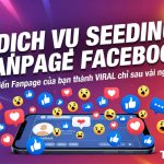 Dịch Vụ Seeding Fanpage Facebook Giá Rẻ Uy Tín – Xây Dựng Cộng Đồng Hiệu Quả